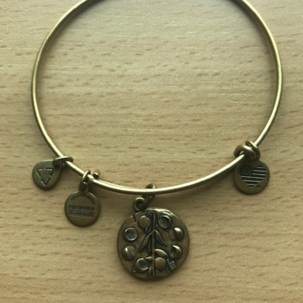 Alex and Ani Wire Bracelet with Willow